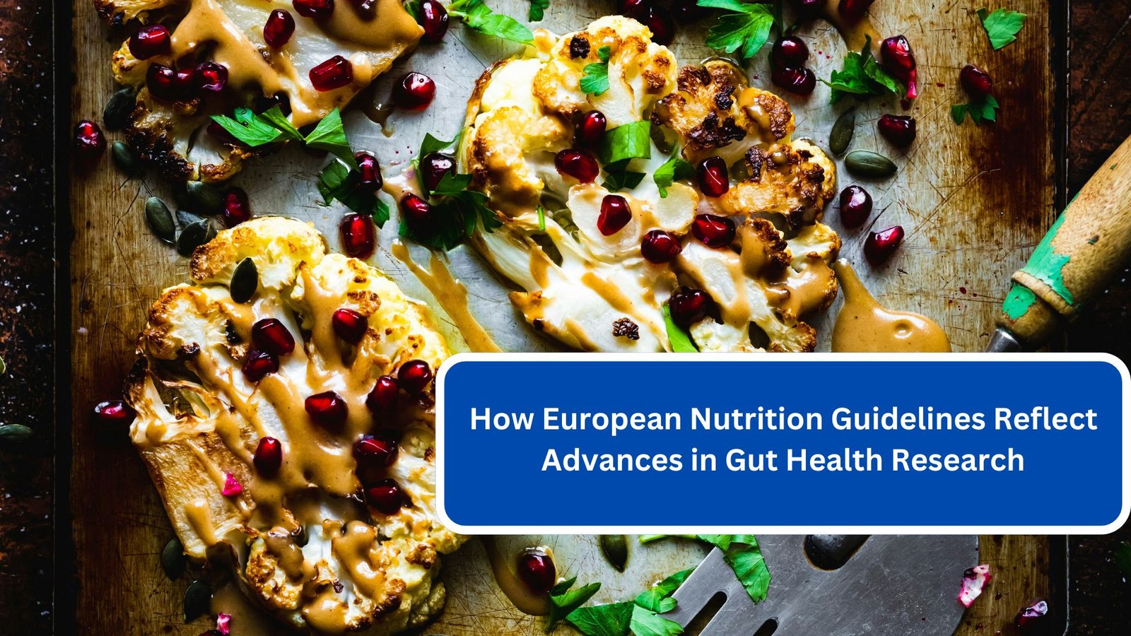 How European Nutrition Guidelines Reflect Advances in Gut Health Research