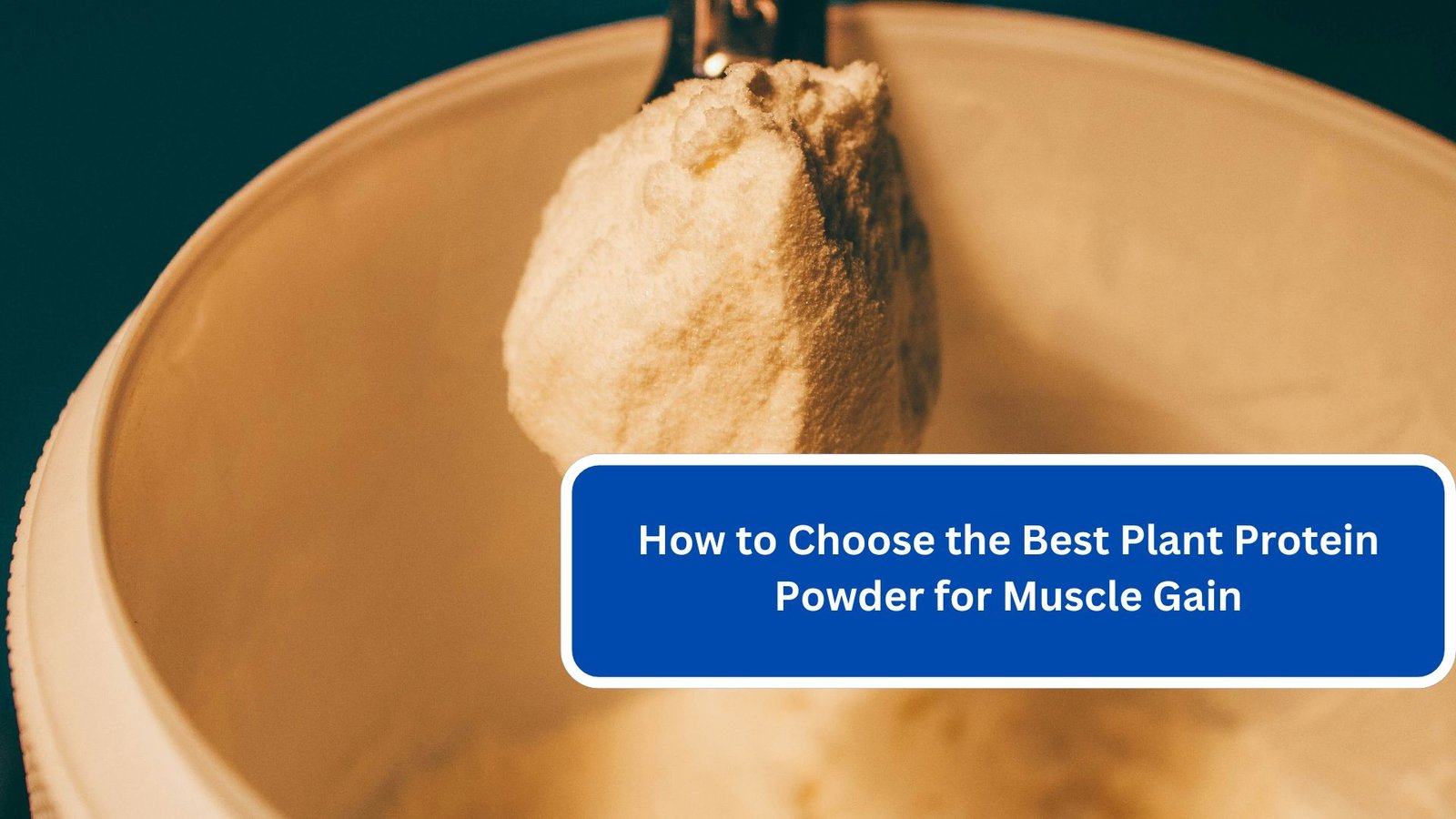 How to Choose the Best Plant Protein Powder for Muscle Gain