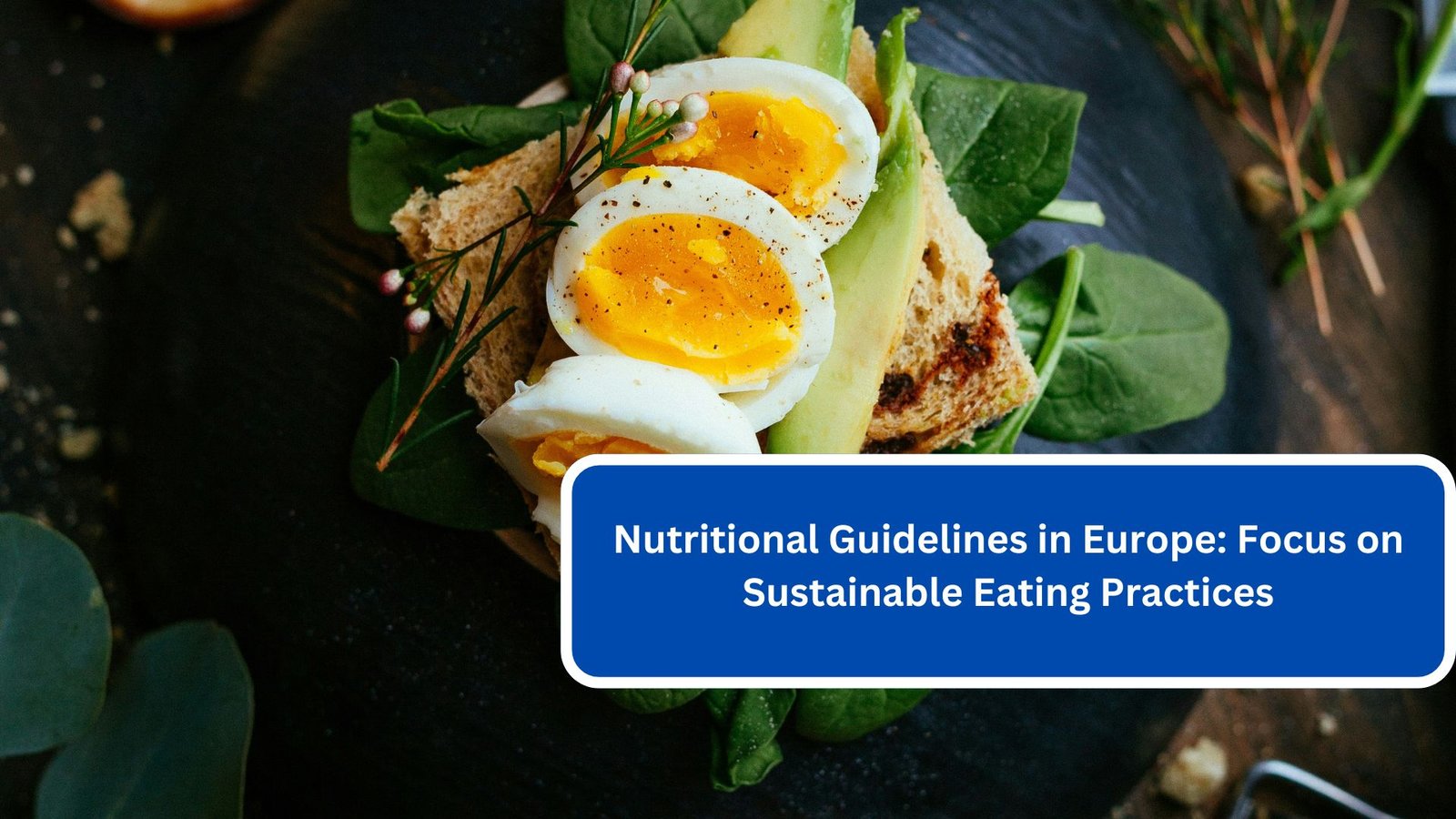 Nutritional Guidelines in Europe Focus on Sustainable Eating Practices