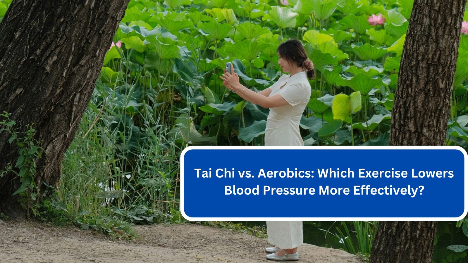 Tai Chi vs. Aerobics Which Exercise Lowers Blood Pressure More Effectively